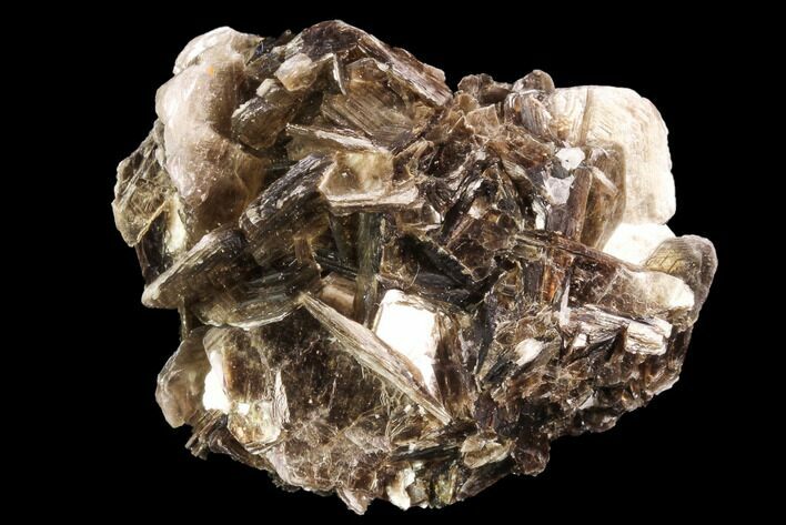 Muscovite Crystal Cluster - Brazil #95571